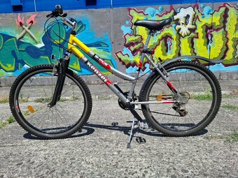 Dámsky bicykel - 2