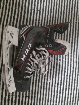 Korčule ccm FT1 - 2