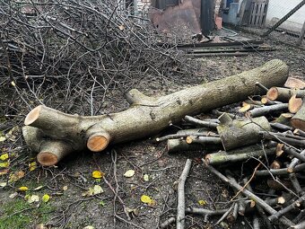 Predam orechove drevo - 2