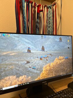 Monitor - 2
