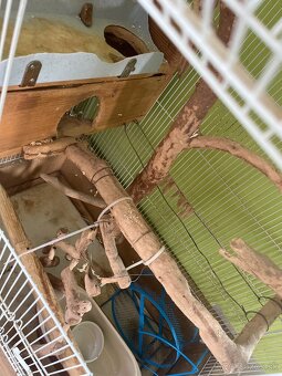 Klietka pre hlodavce - 2