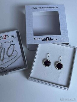 Náušnice Evolution Group - 2
