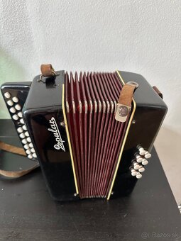 Predám heligonku, harmoniku Popular - 2