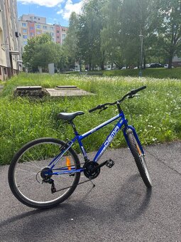 Bicykel Dema - 2