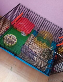 Klietka pre škrečka - 2