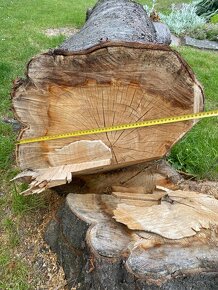 Čerešňové drevo na predaj - 2