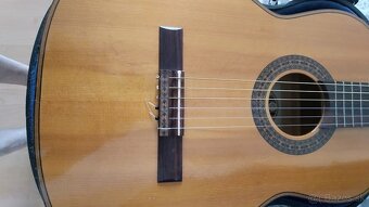 Gitara Schneider - 2