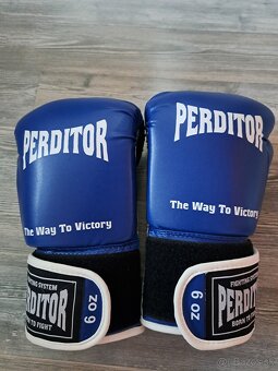 Boxerské rukavice PERDITOR - 2
