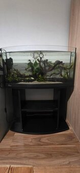 Diversa 112l vypuklé akvárium, Diversa budget stolík - 2