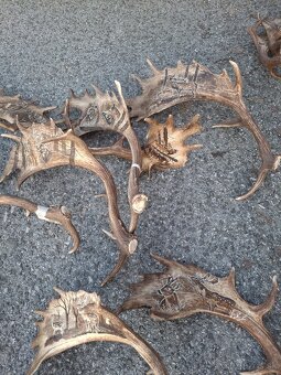 Parohy,zhody,trofeje - 2