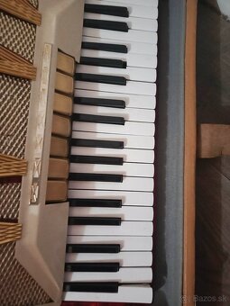 Delicia Melodia VIII - 2