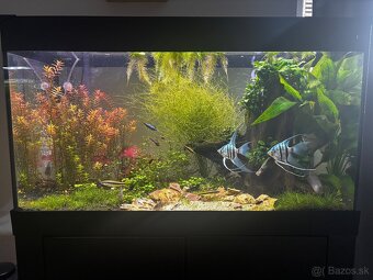Akvarium 112l - 2