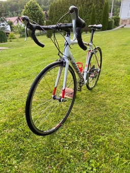 Predam Specialized - 2