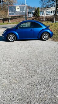 VW beetle - 2
