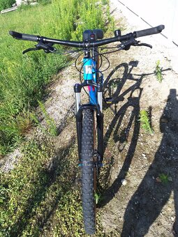 Marin Bobcat trail 3 M 29 - 2