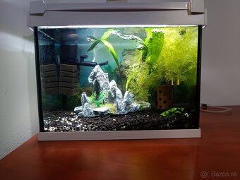 Akvárium ryby krevety filter teplomer dekorácie - 2