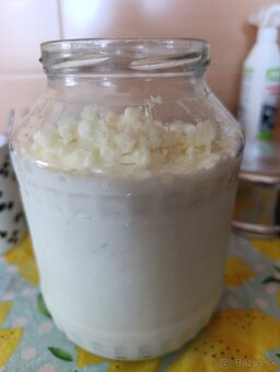 Kefírové zrná - 2