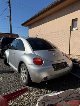 Beetle - 2