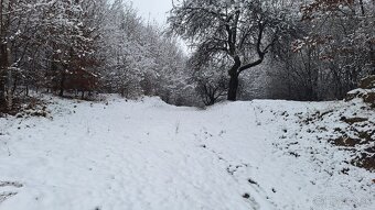 Pozemok  Orlové - 2