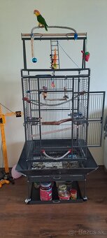 Predam klietku - 2
