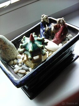 čínania v bonsai miske, zvonkohra - 2
