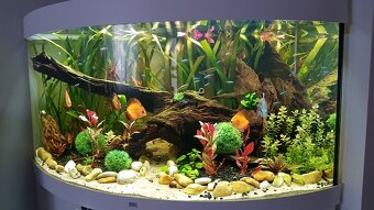 akvarium rohove juwel 350L - 2