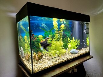 Akváriový set Juwel Rio Led 125 + CO2 set - 2