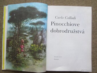 Pinocchiove dobrodružstvá - 2
