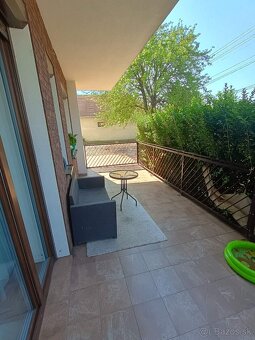 🐾🏡 HĽADÁ SA NÁJOMNÍK/ČKA A JEHO CHLPÁČ - 2