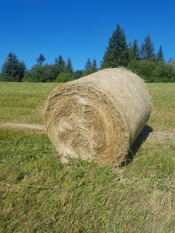Lučné Seno 120cm baliky.Minimalny odber 5ks - 2