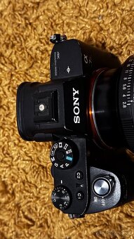 Sony a7 rII Sigma 24-70mm f2.8 DG DN II - 2