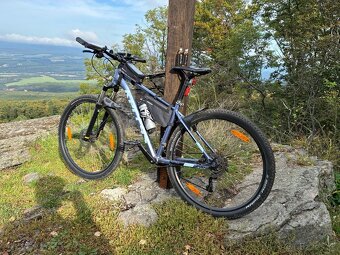 Kellys Spider 80 29'' - 2