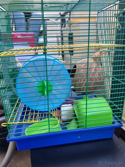 Klietka pre škrečkov - 2