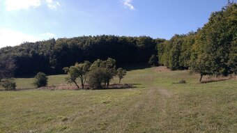 Pozemky (lesy, pasienky, lúky) v k.ú. Šípkov - predám. - 2
