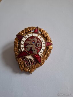 Odznak Vzorný ženista - 2