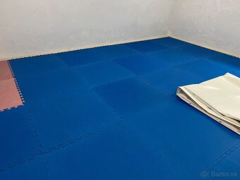 Predám Tatami - 2