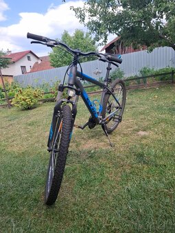 Bicykel CTM Rein 1.0 - 2