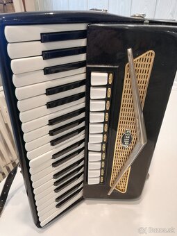 akordeón DELICIA - 2
