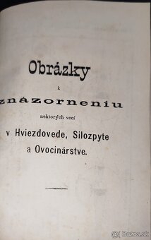 ŠKOLNÍK - ANDREJ RADLINSKÝ 1871 - 2
