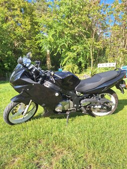 Suzuki GS500F 2007 - 2