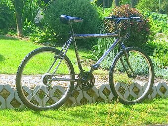 Bike - 2
