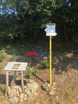 Obrábaný vinohrad Svätý Jur, smerom na Bratislavu, lokalita - 2