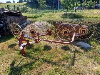 Slniečková hrabačka - 2