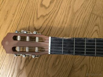 vymením gitaru za husle - 2