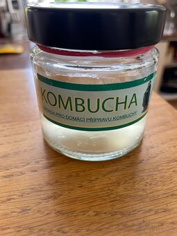 Kombucha - 2