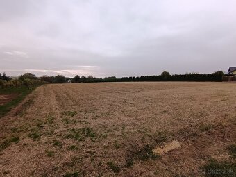 Predaj pozemok , Strážny vrch , Levice , 3529 m2 - 2