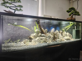Predám akvárium - 2
