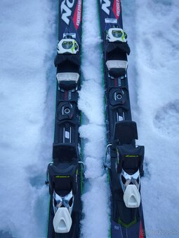 Dobermann Spitfire PRO nordica 160cm - 2