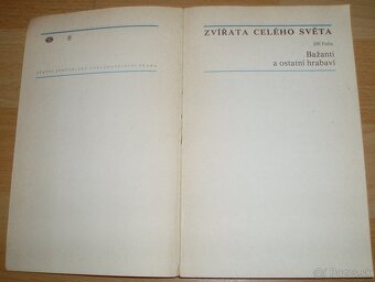 Bažanti a ostatní hrabaví - 2