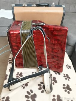 Harmonika Delicia - 2
